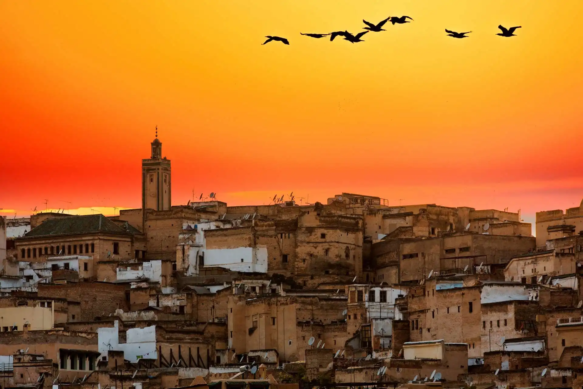 AGM-Travel-Services-Morocco-Tours-Packages-Best-DMC Fes
