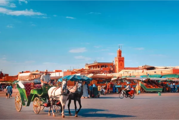 Morocco Adventure 13-Day Adventure from Marrakech to Casablanca